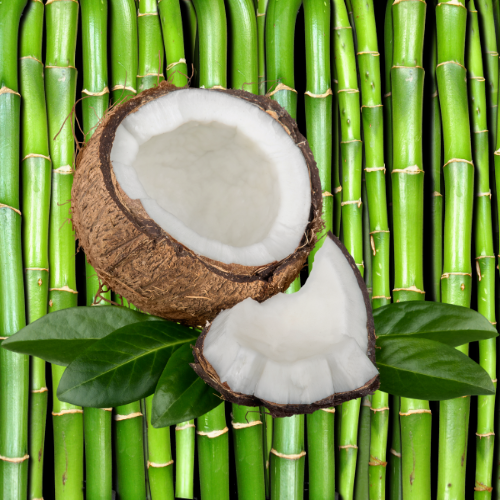 Bamboo Coconut