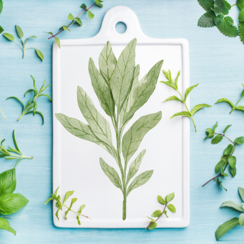 Basil Sage Mint