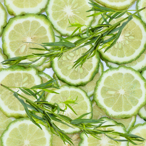 Bergamot & Tarragon Leaves