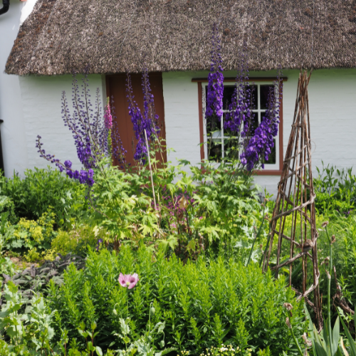 Cottage Breezes