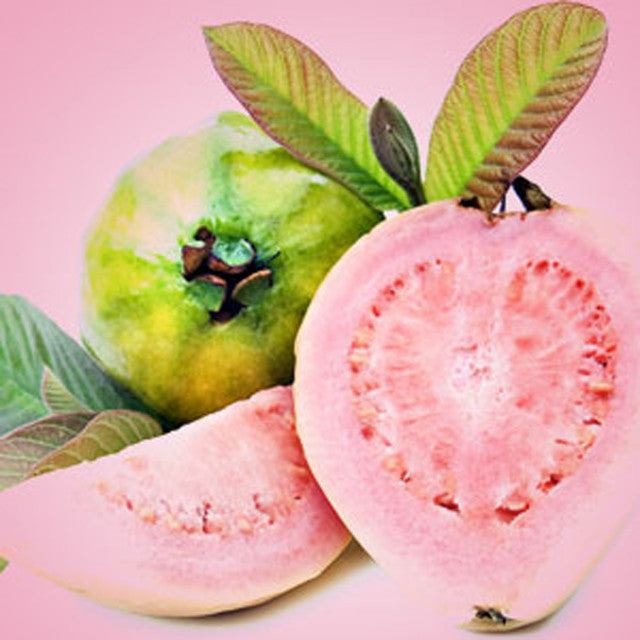 Guava Car Air Freshener