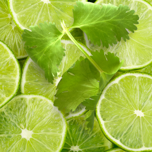 Lime Cilantro