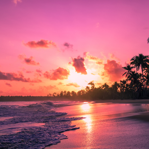 Tropical Sunrise