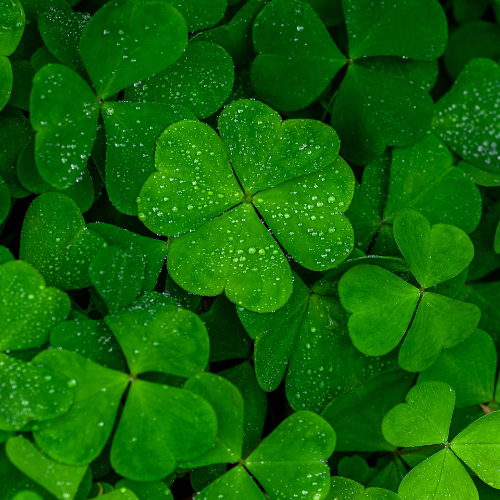 4 Leaf Clover Soy Candle