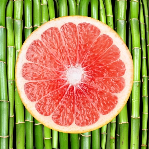 Bamboo & White Grapefruit Car Air Freshener