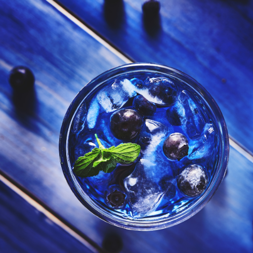 Blueberry Mint Car Air Freshener