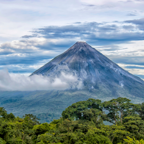 Costa Rican Rainforest Tart Wax Melts