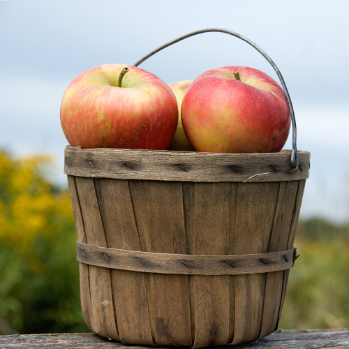 Country Apple Tart Wax Melts