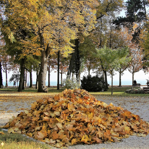 Fresh Fallen Leaves Tart Wax Melts