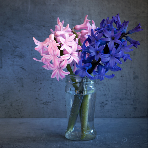 Hyacinth Soy Candle