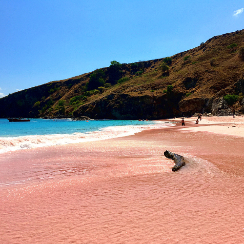 Pink Beaches Tart Wax Melts