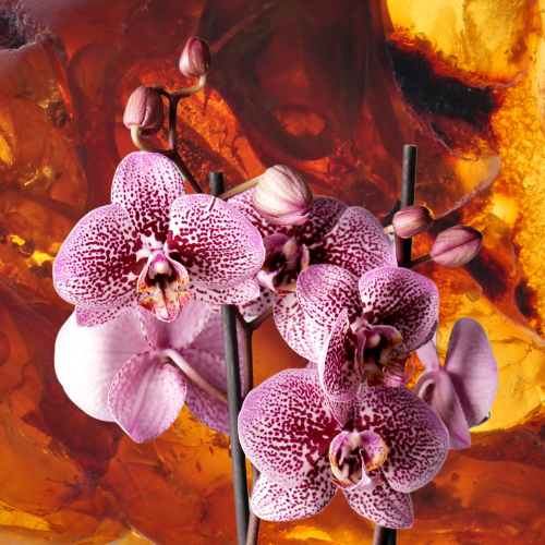 Pink Orchid & Amber Car Air Freshener