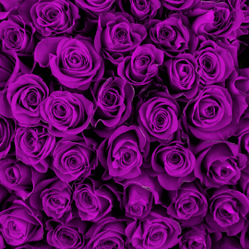 Rose & Violet Fabric & Room Spray