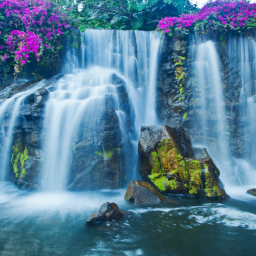 Tahitian Waterfalls Car Air Freshener