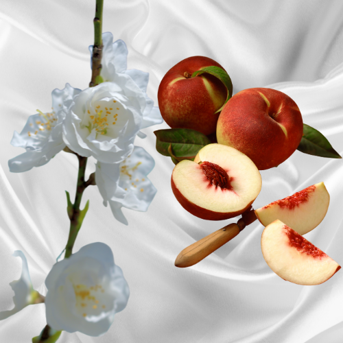 White Peach & Silk Blossoms Car Air Freshener