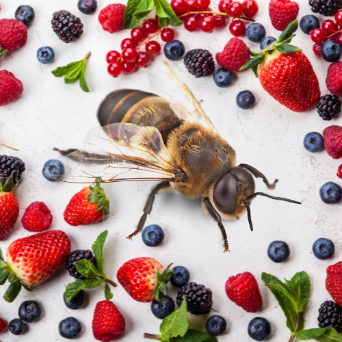 Bumbleberry Soy Candle